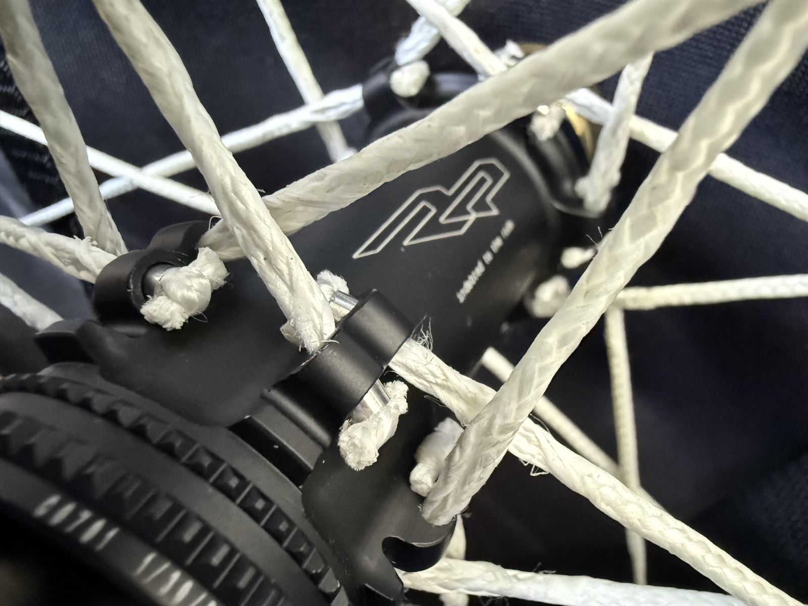 INDEBTED TO THE RIDE